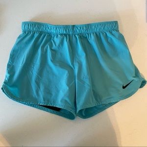 Nike Dri-Fit Shorts (S)